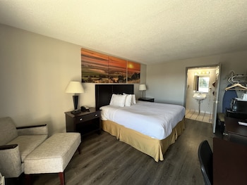 Standard Room, 1 King Bed, Non Smoking