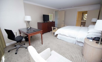 Room, Accessible, Bathtub