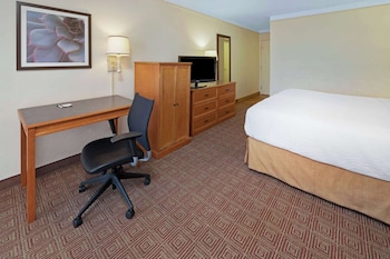 Room, 1 King Bed, Non Smoking (Pet-Friendly)