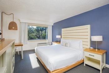 Deluxe Room, 1 King Bed, Accessible