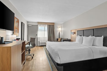 Suite, 1 King Bed, Non Smoking