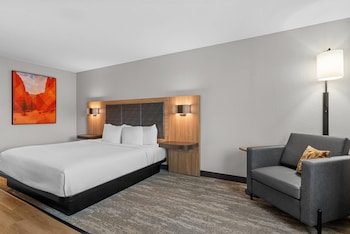 Room, 1 King Bed, Accessible, Non Smoking