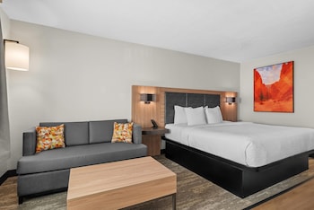 Standard Room, 1 King Bed, Non Smoking