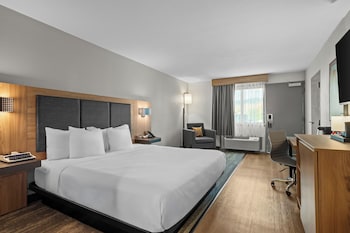 Room, 1 King Bed, Accessible, Non Smoking