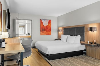 Room, 1 King Bed, Accessible, Non Smoking