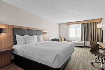 Standard Room, 1 King Bed, Non Smoking (Pet-Friendly)
