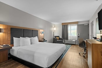 Room, 1 King Bed, Accessible, Non Smoking