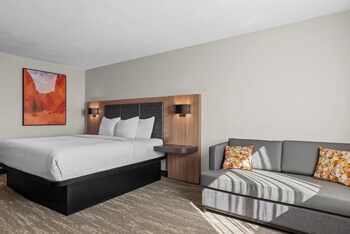 Standard Room, 1 King Bed, Non Smoking (Pet-Friendly)
