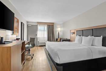 Standard Room, 1 King Bed, Non Smoking