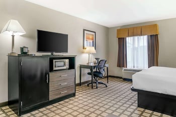 Standard Room, 1 King Bed, Kitchen, Courtyard View