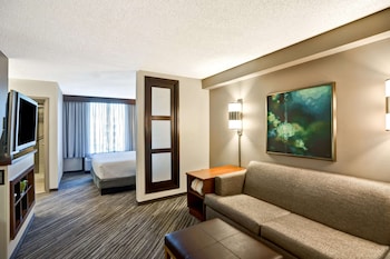 Room, 1 King Bed, Accessible, Bathtub