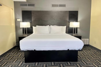 Suite, 1 King Bed, Non Smoking (Efficiency)