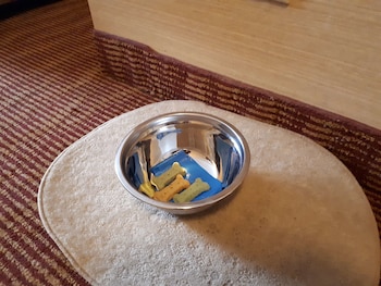 Standard Room, 2 Double Beds, Non Smoking, Refrigerator (Pet Friendly)