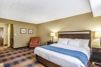 Standard Room, 1 King Bed with Sofa bed, Non Smoking