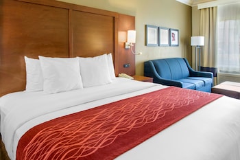 Suite, 1 King Bed, Courtyard View, Courtyard Area