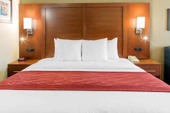 Suite, 1 King Bed, Courtyard View, Courtyard Area