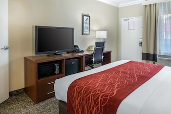 Room, 1 King Bed, Accessible, Non Smoking