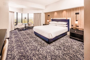 Romulus View Room, 1 King
