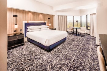 Romulus View Room, 1 King