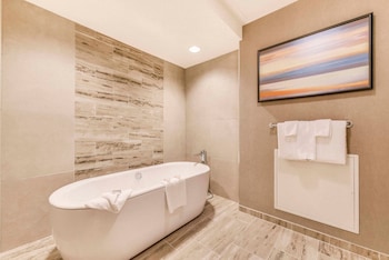 Romulus Lake View Balcony Suite 1 King