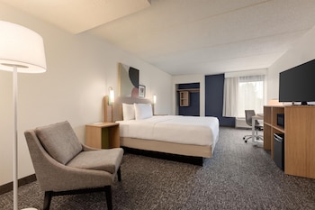 Room, 1 King Bed