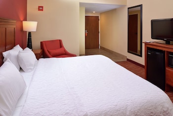 Room, 1 King Bed, Accessible, Non Smoking
