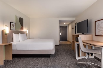 Room, 1 King Bed