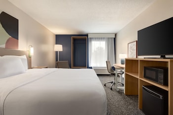 Room, 1 King Bed