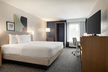 Room, 1 King Bed