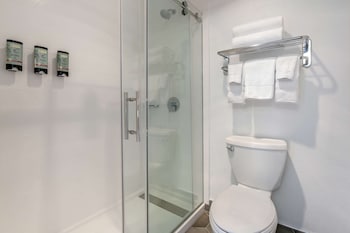 Standard Room, 2 Queen Beds, Non Smoking, Refrigerator & Microwave (Pet Friendly)