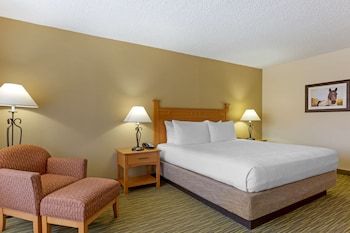 Standard Room, 1 King Bed, Non Smoking, Microwave