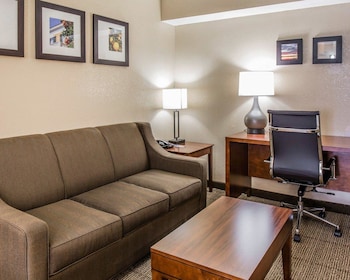 Suite, 1 King Bed with Sofa bed, Non Smoking
