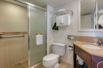 Suite, 1 King Bed, Accessible, Non Smoking (Walk-in Shower;with Sofabed)