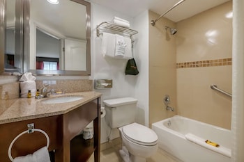 Standard Room, 1 King Bed, Non Smoking (Shower Only;Larger Room;with Sofabed)
