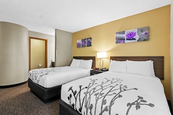 Room, 2 Double Beds (Pet Friendly)