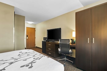 Room, 1 Queen Bed, Accessible, Non Smoking