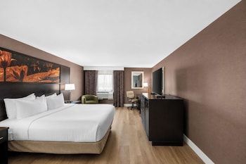 Room, 1 King Bed, Accessible, City View (Mobility, Bathtub)