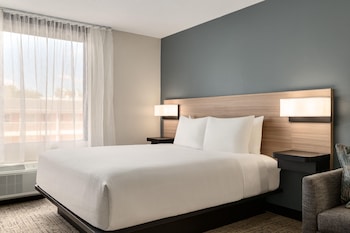 Suite, 1 King Bed with Sofa bed
