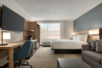 Suite, 1 King Bed with Sofa bed