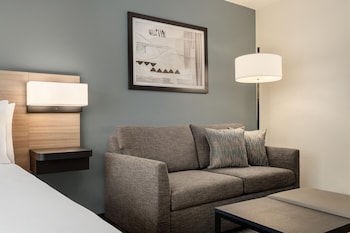 Suite, 1 King Bed with Sofa bed
