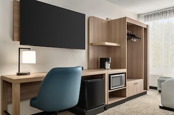 Suite, 1 King Bed with Sofa bed