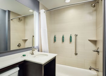 Suite, 1 King Bed with Sofa bed