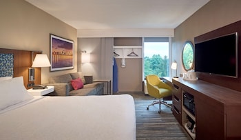 Standard Room, 1 King Bed with Sofa bed, Non Smoking