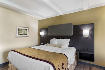 Standard Room, 1 King Bed, Accessible, Refrigerator & Microwave