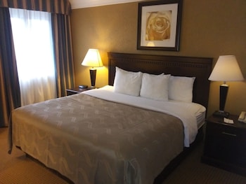 Room, 1 King Bed, Non Smoking (Upgrade)