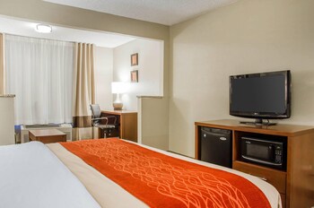 Room, 1 King Bed, Non Smoking