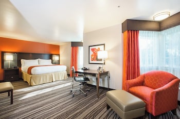 Suite, 1 King Bed