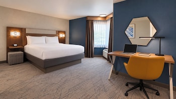 Suite, 1 King Bed