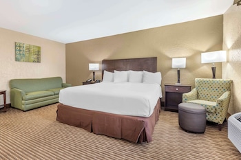 Standard Room, 1 King Bed, Non Smoking, Refrigerator & Microwave