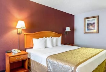 Room, 1 King Bed
